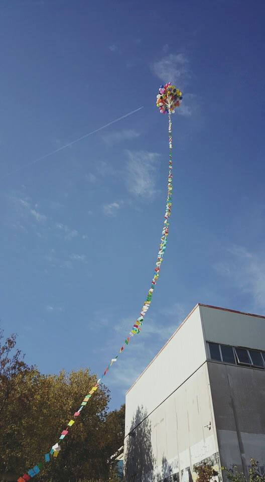 12249991 923325247759630 684171191389337255 n