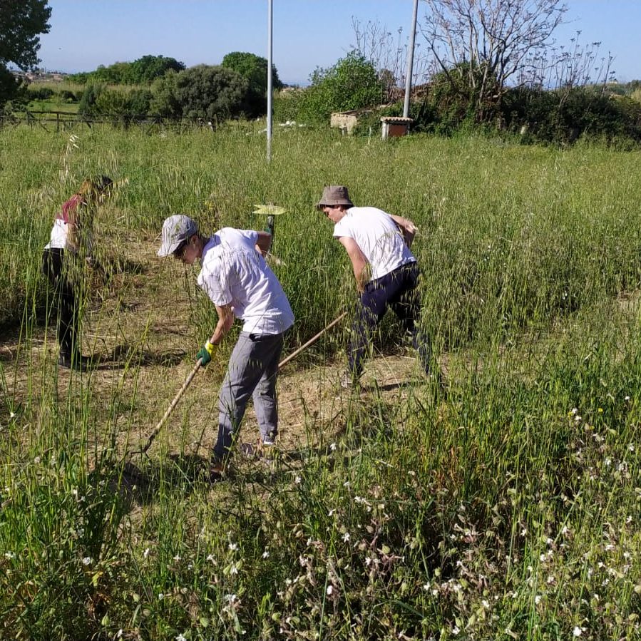 WhatsApp Image 2022 04 27 at 10.07.22