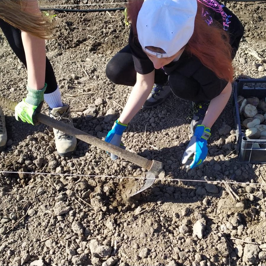 WhatsApp Image 2022 04 27 at 10.10.43 1