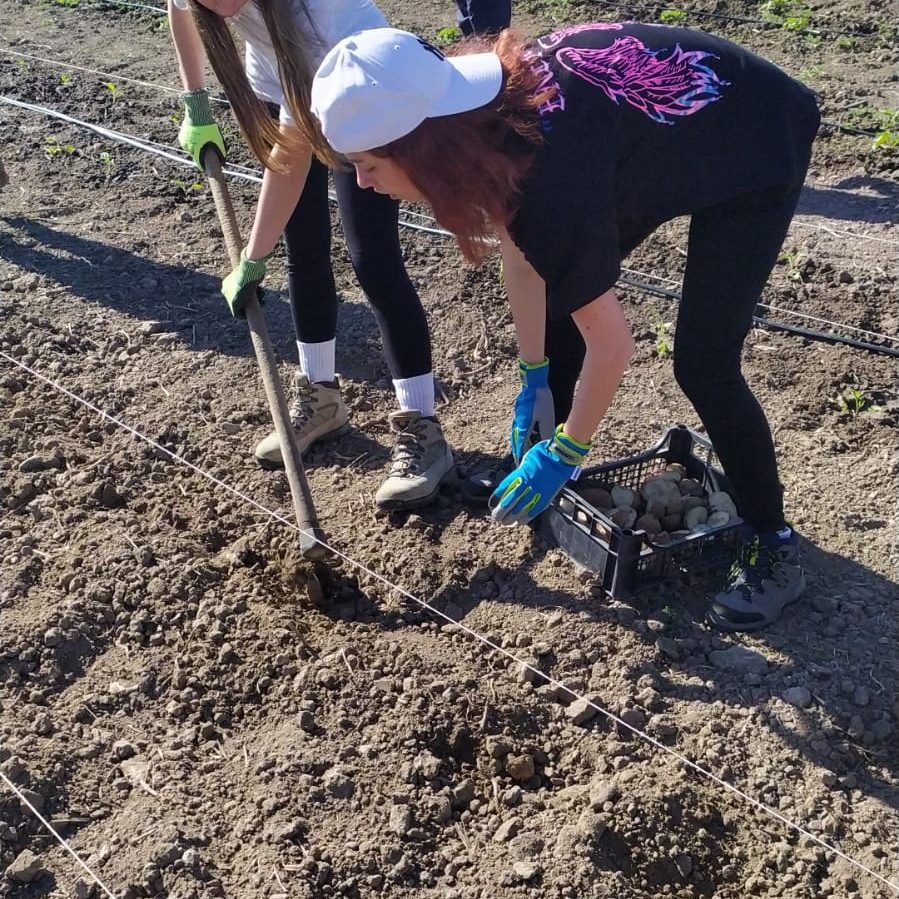 WhatsApp Image 2022 04 27 at 10.10.43