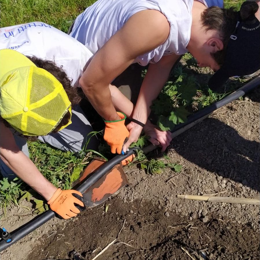 WhatsApp Image 2022 04 27 at 10.10.44 2