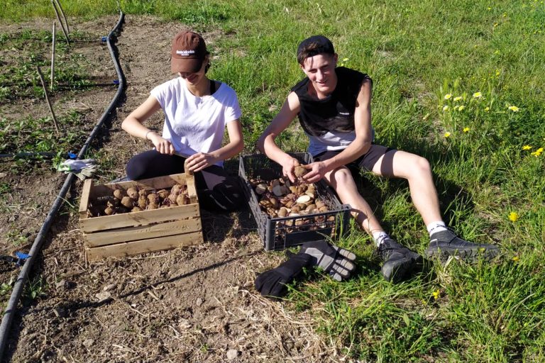 WhatsApp Image 2022 04 27 at 10.10.44