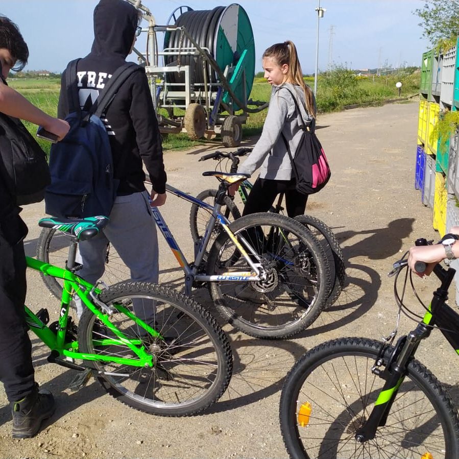 WhatsApp Image 2022 04 28 at 08.40.07