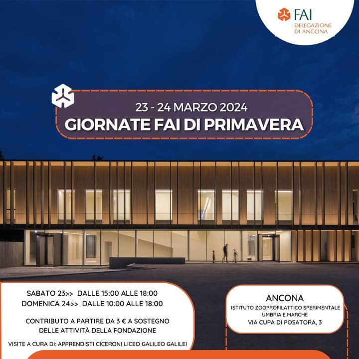 WhatsApp Image 2024 03 20 at 08.54.33