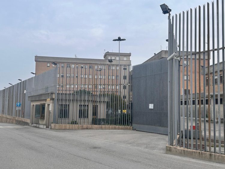 WhatsApp Image 2025 02 23 at 16.09.52