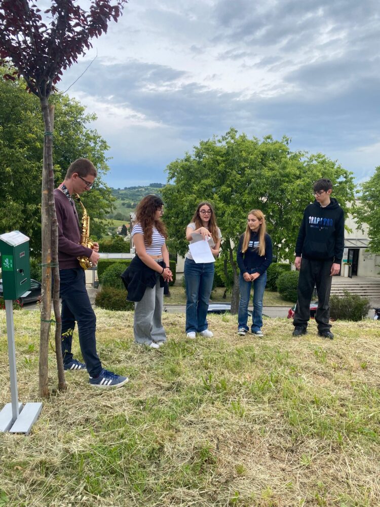 WhatsApp Image 2025 05 20 at 13.33.52