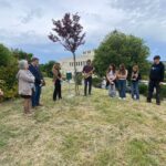 WhatsApp Image 2025 05 20 at 13.33.55 1