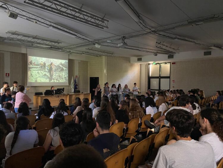 WhatsApp Image 2025 05 22 at 11.54.06